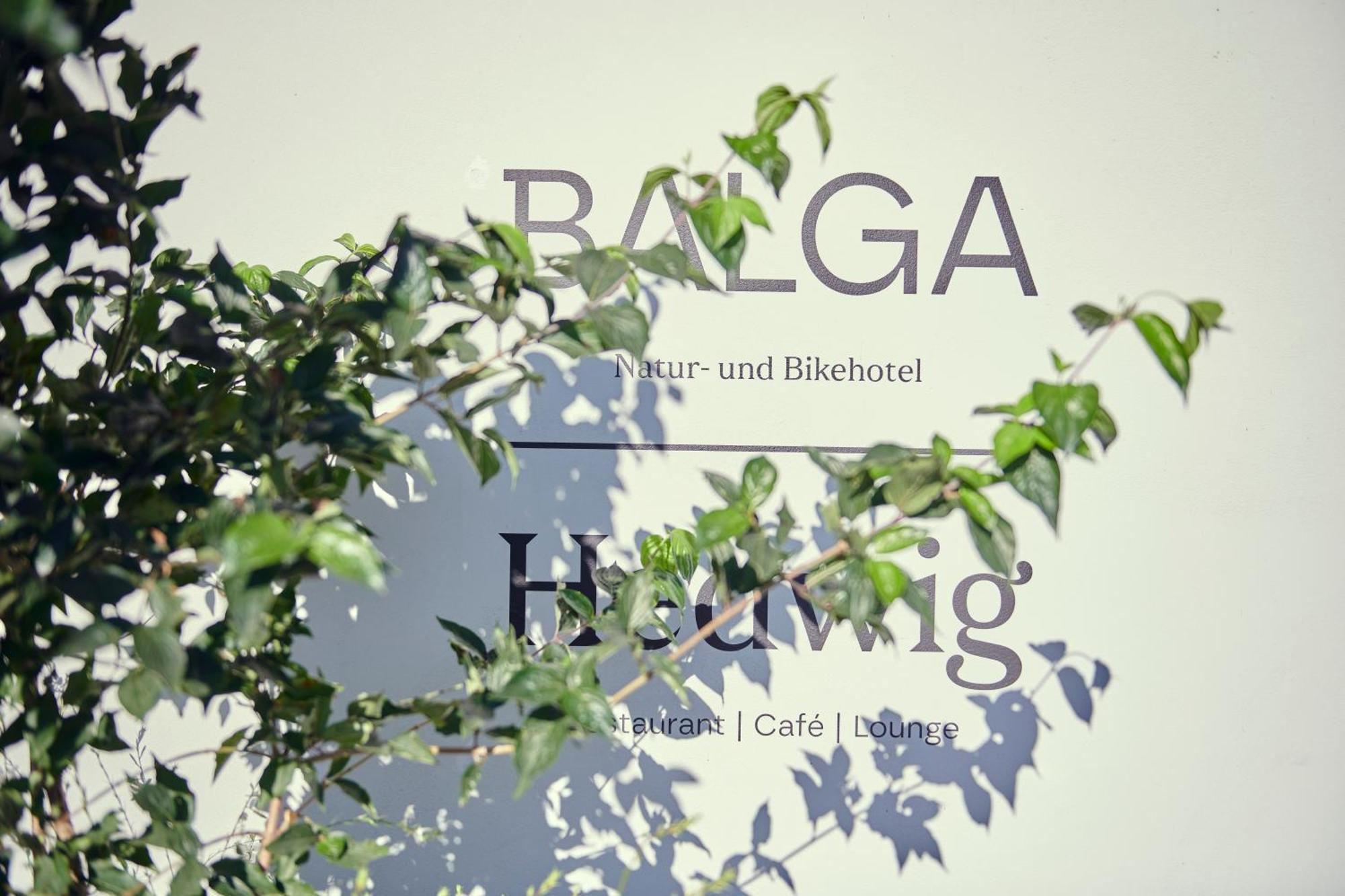 Hotel Balga Natur- Und Bikehotel Balgach Екстериор снимка