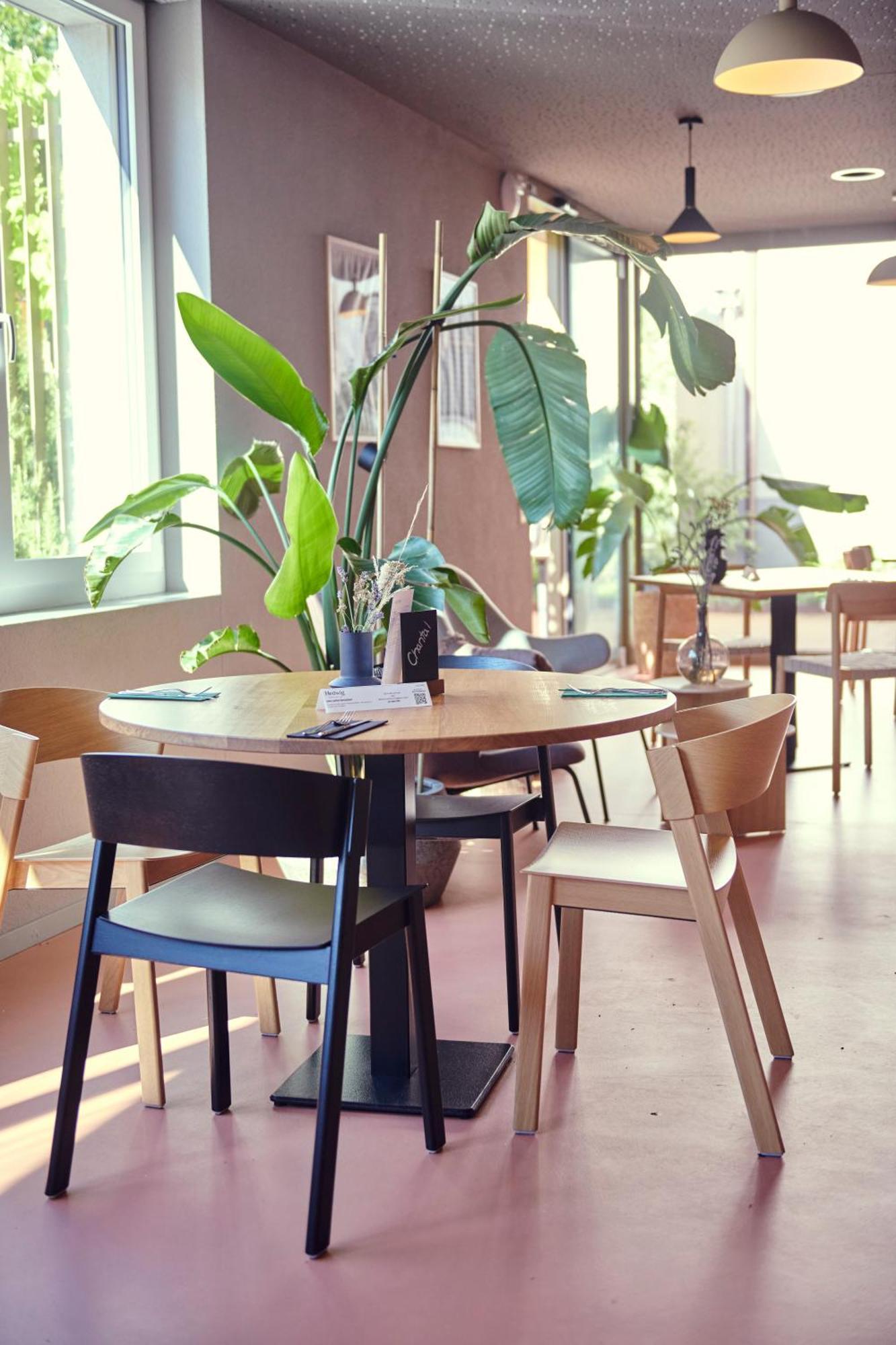 Hotel Balga Natur- Und Bikehotel Balgach Екстериор снимка